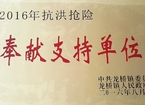 2016年镇-抗洪抢险